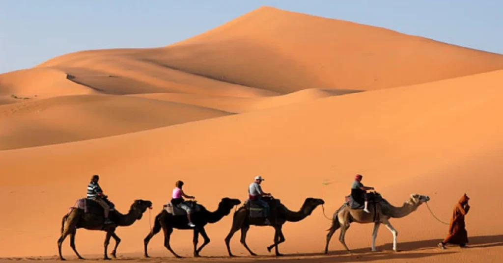 ইসলামি গল্প ও ভ্রমণ কাহিনী বিষয়ক বই: Islamic stories and travel stories Books